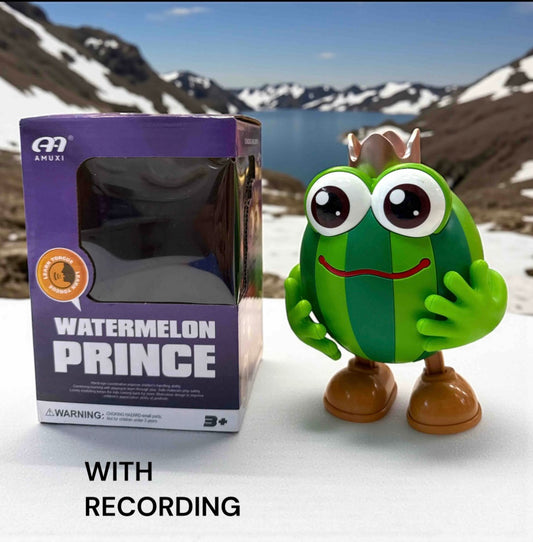 Watermelon activity toy with recording