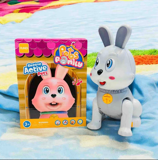 High quality rabbit
