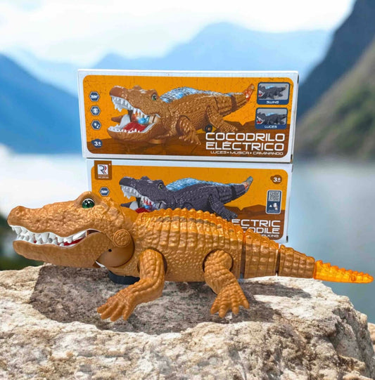 Cocodrile ,light,music,activity